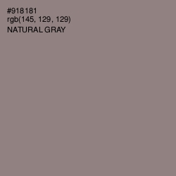 #918181 - Natural Gray Color Image